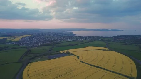 Sunset over Rapeseed fields and Farmlands from a drone 動画素材 187539662