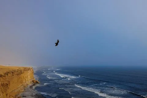 Sunset over Red Sand Cliffs Stock Photos