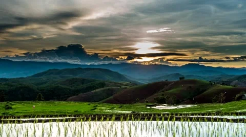 Sunset over the rice fields. Stock Footage 64647362