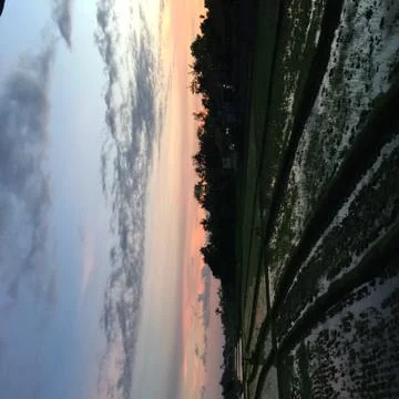 Sunset over rice fields Stock Photos