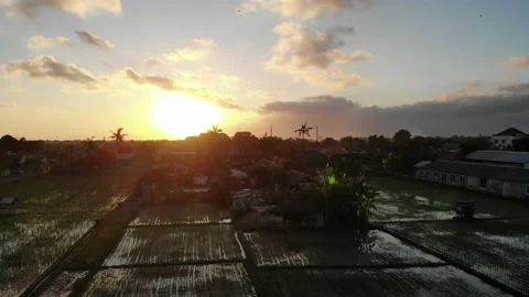 Sunset Over Rice Fields in Seminyak, Bali Stock Footage 152865394