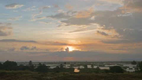 Sunset over rice fields submerged in water, in Cambodia Stock Footage 236183030