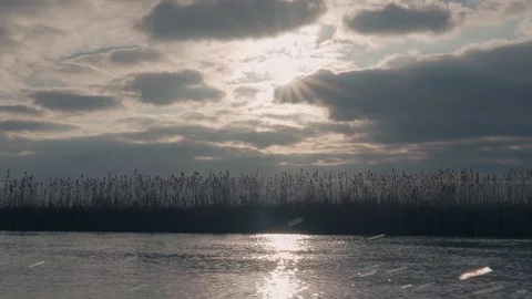 Sunset over the river from a boat Stock Footage 127330831