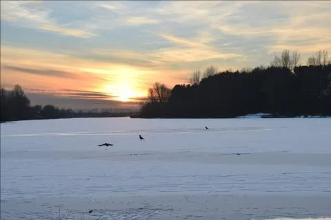 Sunset over a river covered in ice and snow. Crows walk on the ice on the r.. Stock Photos