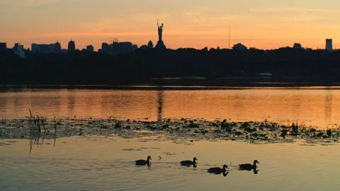 Sunset over river with ducks. Idyllic nature landscape scene, Kyiv city panorama Stock Footage 251737190