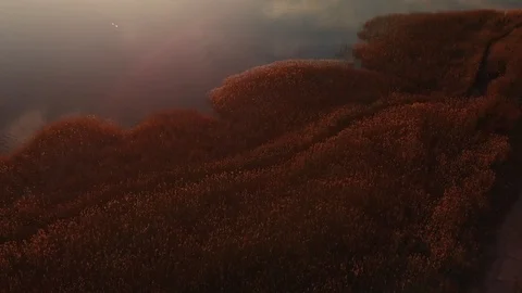 Sunset Over the River Ecosystem - Aerial Reveal Shot Stock Footage 126831711