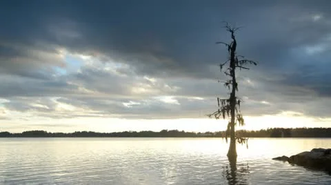 Sunset over the river Stock Footage 14211199