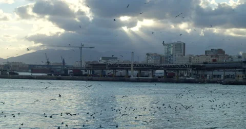 Sunset over the river Video stock 192276554