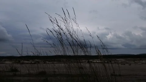 Sunset over the river Stock Footage 252084693