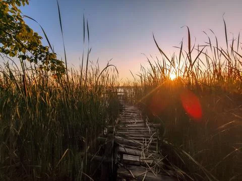 Sunset over the river. pathway trough the reed at sunrise. autumn landscape Stock Photos