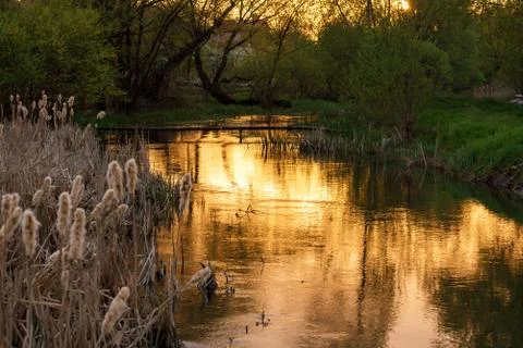 Sunset over the river. Foto stock
