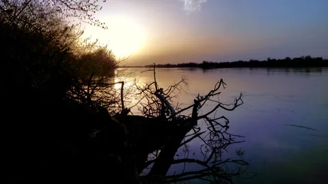 Sunset over a river in springtime. Video stock 271581259