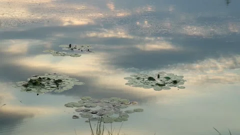 Sunset over the river, sunset over the lake Stock-Footage 310079514