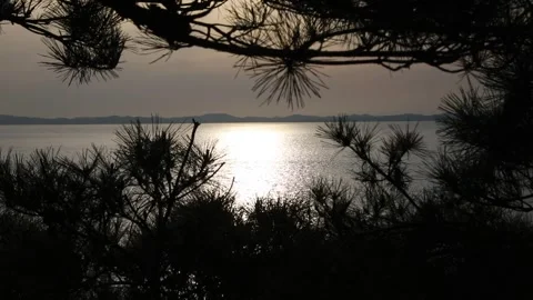 Sunset over the river, sunset with tree silhouette Video stock 310930601