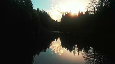 Sunset over river with swan Stock Footage 221583594