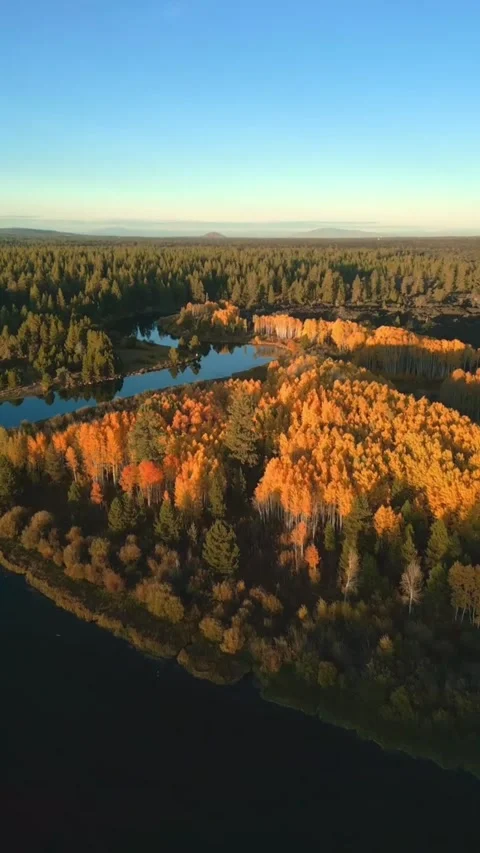 Sunset over the river with trees Stock Footage 274274685