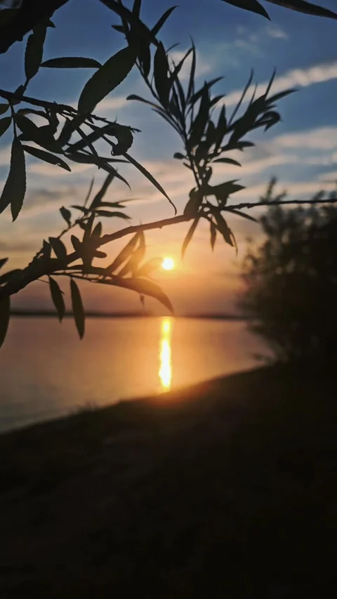 Sunset over the river, the Volga, the sun is setting, grass, greenery Stock Footage 312004954