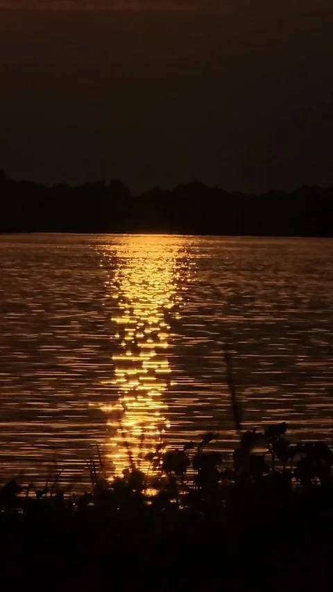 Sunset over the river, the Volga, the sun is setting Stock Footage 312004962