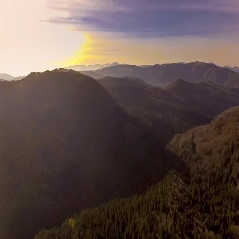 Sunset over road through colorful autumn forest Stock Footage 69332552