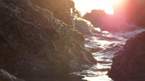 Sunset Over Rocky Shore Close-Up With Sunlit Water and Gentle Tide Pools Stock Footage 337307797