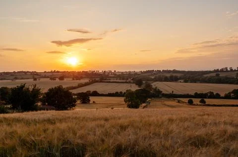 Sunset over rolling fields. Stock Photos
