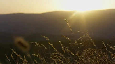 Sunset over rural field landscape Stock Footage 336465915