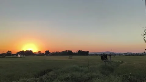 Sunset Over Rural Rice Fields with Traditional Farm Hut Stock Footage 341508118