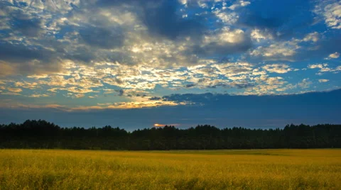 Sunset over rye field in Poland Stock Footage 65019902