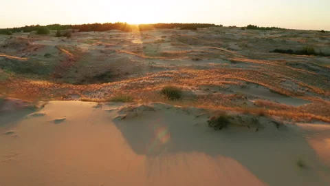 Sunset over the sand dunes in the desert Vidéo 148090573