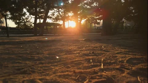 Sunset Over Sandy Ground in Park Stock Footage 314627155