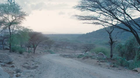 Sunset over savanna 動画素材 59796148