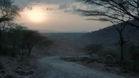 Sunset over savanna 動画素材 59796317