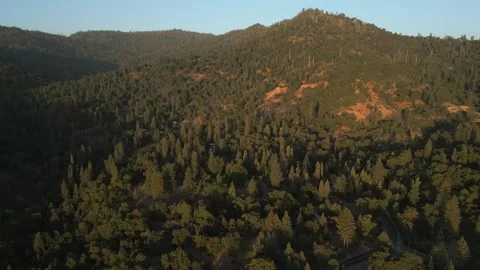 Sunset over Scenic Sequoia National Forest California Drone Aerial Footage Stock Footage 335426068