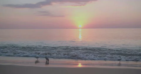 Sunset over the sea on beach in Thailand Stock Footage 234869938