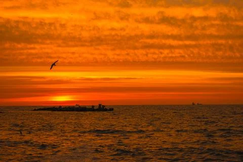 Sunset over the Sea with Distant Bird Stock Photos