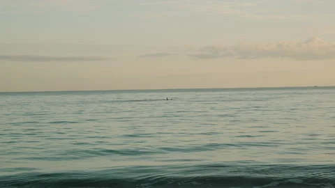 Sunset over the sea Stock Footage 309724810