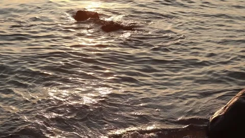 Sunset Over Sea with Gentle Waves Stock Footage 290091983