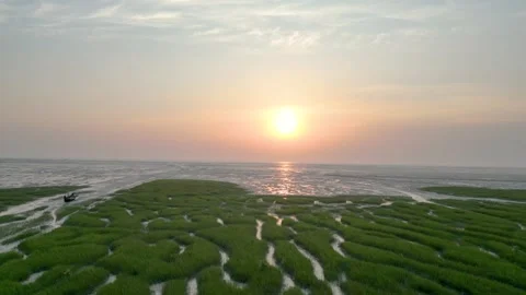 Sunset over the sea with green grass in the beach Stock Footage 273629461