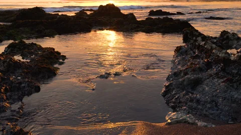 Sunset over the sea at low tide. Beautiful sand beach, rocks, and sky Stock Footage 138891047