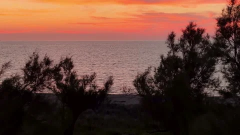 Sunset over the sea in North Corfu, Greece, featuring dark tree silhouettes Stockbeeldmateriaal 337008117