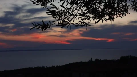 Sunset Over the Sea with Olive Branch Silhouette in Parthenonas Greece Vídeos de archivo 334242081