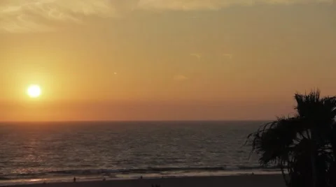 Sunset over the sea with palm tree Stock Footage 56343193