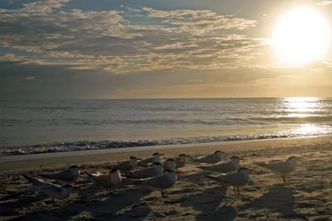 Sunset over Sea Stock Photos