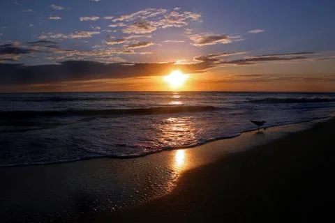 Sunset over Sea Stock Photos