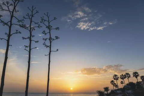 Sunset over the sea. Stock Photos