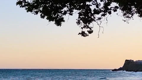 Sunset Over the Sea with Silhouetted Tree Branches in Ucmakdere, Turkey Stock Footage 328056039