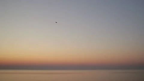 Sunset over the sea. The sky is clear. The sun is low. Beautiful sunset. Bird Stock Footage 146287582