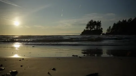 Sunset Over Sea with Sun Reflection and Tree Silhouette 動画素材 323772143