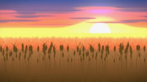 Sunset over serene wheat field. 2d animation Stock Footage 342727614