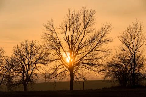 Sunset over silhouette of tree, fall season Stock-Fotos